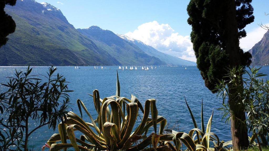 Hotel Angelini Torbole Sul Garda Exterior foto